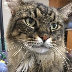 Meet your Posher, Jamie